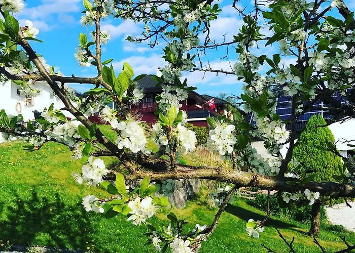 Villa House With Oceanview, 4 Bedrooms, Close To Bergen Alversund